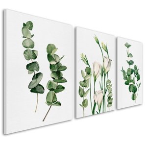 Obraz na plátně PLANTS III. set 3 kusy různé rozměry Ludesign ludesign obrazy: 3x 50x70 cm