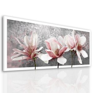 Obraz na plátně MAGNOLIA A 120x50 cm Ludesign