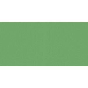 Obklad Rako Color One 20×40 cm zelená matná, WAAMB466