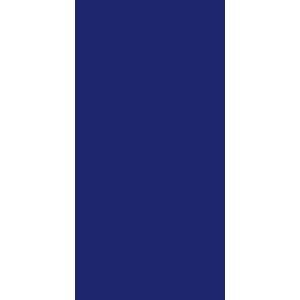 Dlažba Rako Color Two 10×20 cm tmavě modrá matná GAAD8005