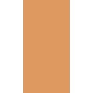 Dlažba Rako Color Two 10×20 cm světle oranžová matná GAAD8150