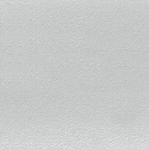 Dlažba Rako Color Two 20×20 cm světle šedá matná GAF1K612