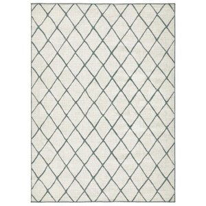 Kusový koberec Twin-Wendeteppiche 103117 grün creme – na ven i na doma - 200x290 cm NORTHRUGS - Hanse Home koberce