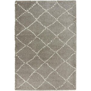 Kusový koberec Allure 102752 grau creme - 120x170 cm Mint Rugs - Hanse Home koberce