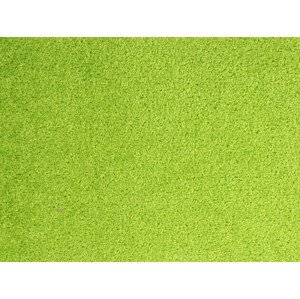 Metrážový koberec Dynasty 41 - S obšitím cm Aladin Holland carpets