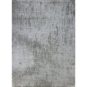 Kusový koberec Dizayn 2329 Grey - 80x150 cm Berfin Dywany