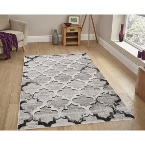 Kusový koberec Miami 131 Vizon - 160x220 cm Berfin Dywany