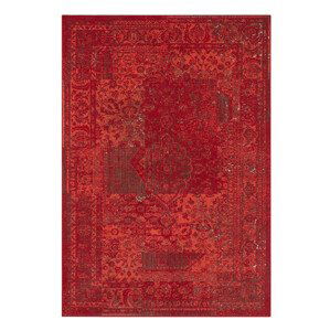 Kusový koberec Celebration 103467 Plume Red - 80x150 cm Hanse Home Collection koberce