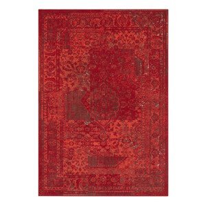 Kusový koberec Celebration 103467 Plume Red - 80x250 cm Hanse Home Collection koberce