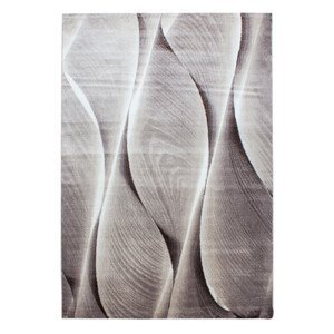Kusový koberec Parma 9310 brown - 120x170 cm Ayyildiz koberce
