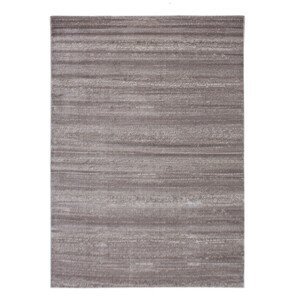 Kusový koberec Plus 8000 beige - 200x290 cm Ayyildiz koberce