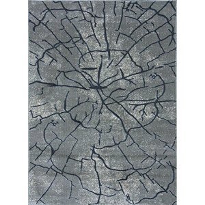 Kusový koberec Zara 8096 Grey - 120x180 cm Berfin Dywany