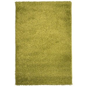 Kusový koberec Efor Shaggy 1903 Green - 60x115 cm Mono Carpet
