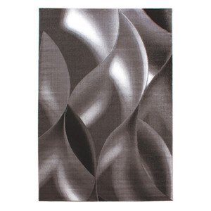 Kusový koberec Plus 8008 brown - 200x290 cm Ayyildiz koberce
