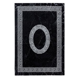 Kusový koberec Plus 8009 black - 200x290 cm Ayyildiz koberce