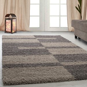 Kusový koberec Gala 2505 taupe - 80x150 cm Ayyildiz koberce