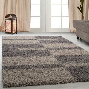 Kusový koberec Gala 2505 taupe - 280x370 cm Ayyildiz koberce