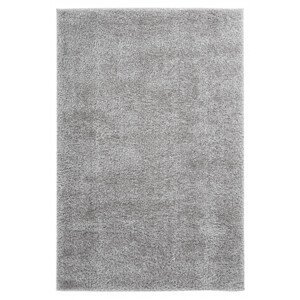 Kusový koberec Emilia 250 silver - 80x150 cm Obsession koberce