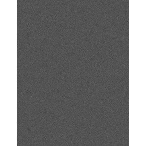 Kusový koberec Lana 0301 927 - 120x170 cm Luxusní koberce Osta