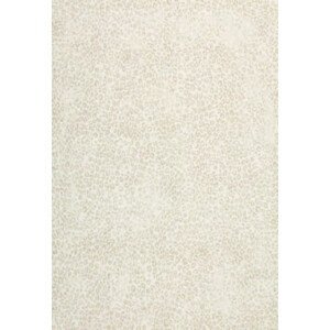 Kusový koberec Piazzo 12268 100 - 80x140 cm Luxusní koberce Osta