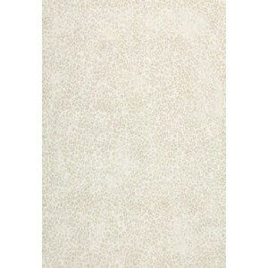 Kusový koberec Piazzo 12268 100 - 160x230 cm Luxusní koberce Osta