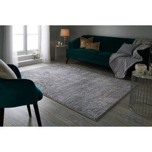 Kusový koberec Eris Arissa Silver - 200x290 cm Flair Rugs koberce