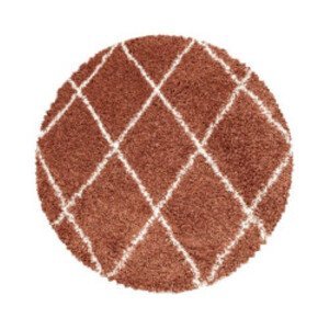 Kusový koberec Alvor Shaggy 3401 terra kruh - 120x120 (průměr) kruh cm Ayyildiz koberce