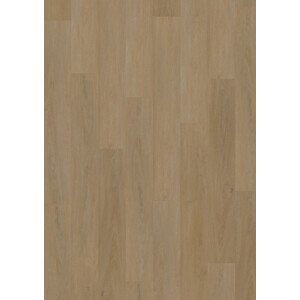 Vinylová podlaha lepená ECO 55 064 English Oak Honey  - dub - Lepená podlaha Oneflor