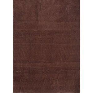 Kusový koberec Catwalk 2600 Brown - 80x150 cm Ayyildiz koberce