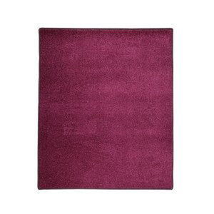 Kusový koberec Eton fialový 48 - 120x170 cm Vopi koberce