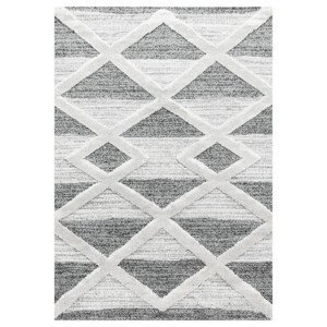 Kusový koberec Pisa 4709 Grey - 120x170 cm Ayyildiz koberce