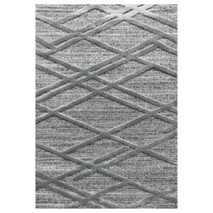 AKCE: 80x150 cm Kusový koberec Pisa 4706 Grey - 80x150 cm Ayyildiz koberce