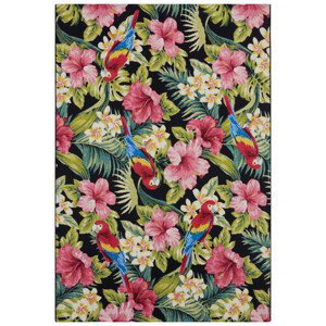 Kusový koberec Flair 105619 Tropical Feeling Multicolored – na ven i na doma - 80x165 cm Hanse Home Collection koberce
