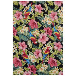 Kusový koberec Flair 105619 Tropical Feeling Multicolored – na ven i na doma - 200x285 cm Hanse Home Collection koberce