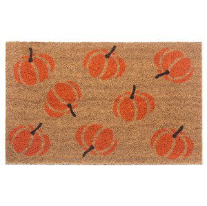 Rohožka Mix Mats 105677 Cocos - 45x75 cm Hanse Home Collection koberce