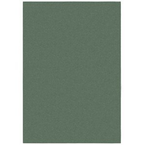 Kusový koberec Softie Lilypad - 120x170 cm Flair Rugs koberce
