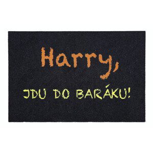 Rohožka Harry 40x60 cm - 40x60 cm Mercury Flooring