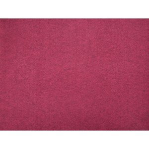 AKCE: 102x500 cm SUPER CENA: Vínový festivalový koberec metrážní Budget - Bez obšití cm Aladin Holland carpets