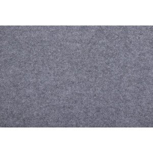 AKCE: 230x577 cm SUPER CENA: Šedý výstavový koberec Budget metrážní - Bez obšití cm Aladin Holland carpets