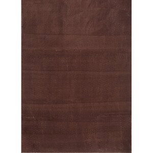 AKCE: 80x150 cm Kusový koberec Catwalk 2600 Brown - 80x150 cm Ayyildiz koberce