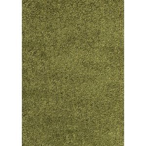 Kusový koberec Dream Shaggy 4000 green - 80x150 cm Ayyildiz koberce