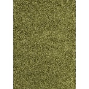 Kusový koberec Dream Shaggy 4000 green - 60x110 cm Ayyildiz koberce