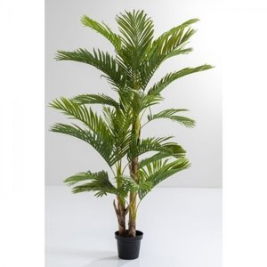 KARE Design Dekorativní rostlina Palm Tree 190cm