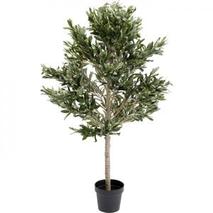KARE Design Dekorativní rostlina Olivovník 120cm
