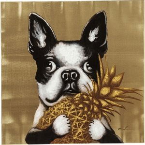 KARE Design Obraz na plátně Dog with Pineapple 80×80cm