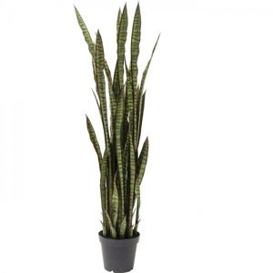 KARE Design Umělá rostlina Tchýnin jazyk Sansewieria 155cm