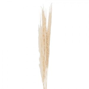 Přírodní béžová kytice sušené květy trávy – 90 cm