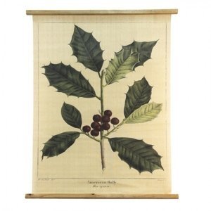 Béžová nástěnná mapa s cesmínou American Holly – 80x2x100 cm