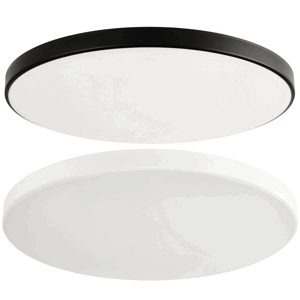 LED stropní svítidlo 18W 2v1 bílá/černá