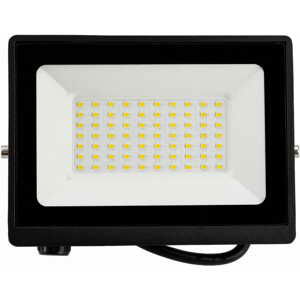 LED reflektor 2v1 - 50W - neutrální bílá